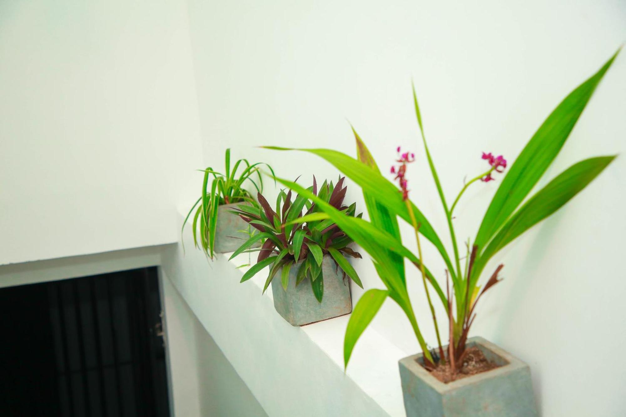Samee Dream Guest Hotel Midigama Luaran gambar